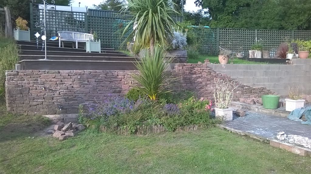 WP_20200717_19_11_32_Pro.jpg
