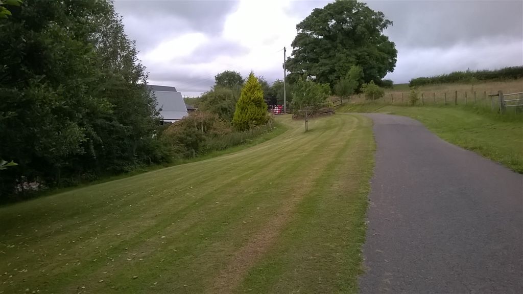 WP_20200718_20_33_20_Pro.jpg