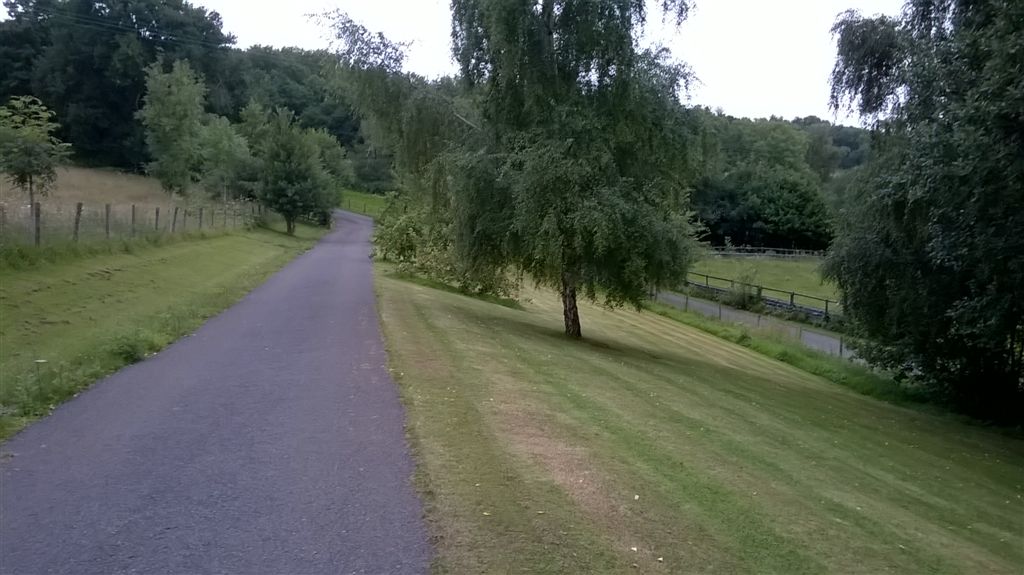 WP_20200718_20_33_30_Pro.jpg