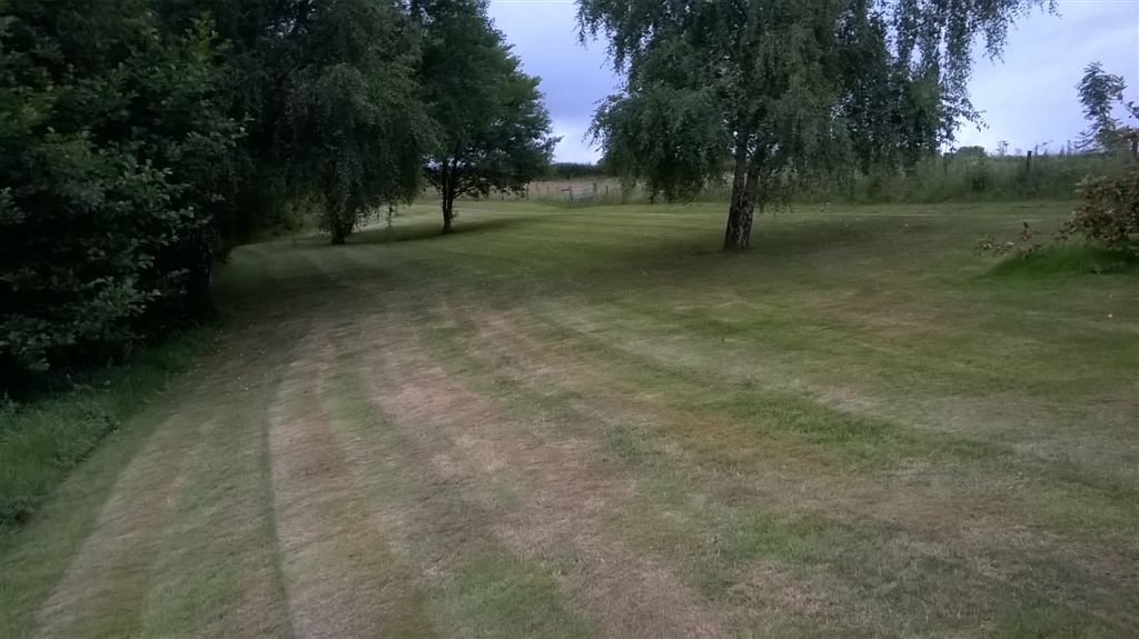WP_20200718_20_42_55_Pro.jpg