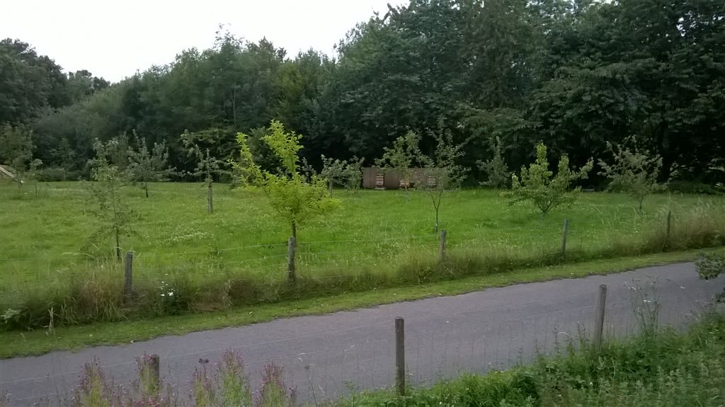 WP_20200718_20_43_06_Pro.jpg