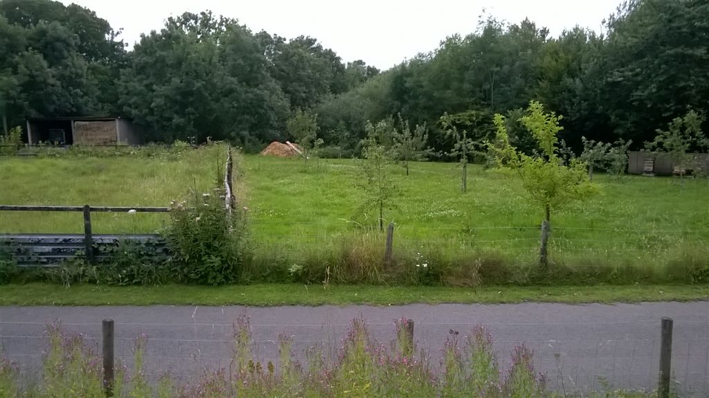 WP_20200718_20_43_10_Pro.jpg