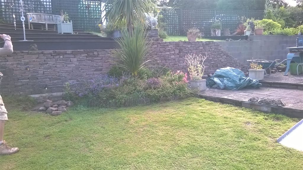WP_20200719_08_19_08_Pro.jpg