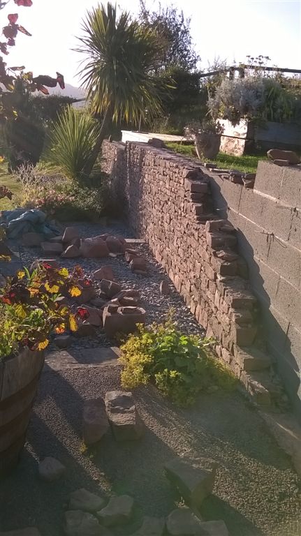 WP_20200719_19_56_46_Pro.jpg