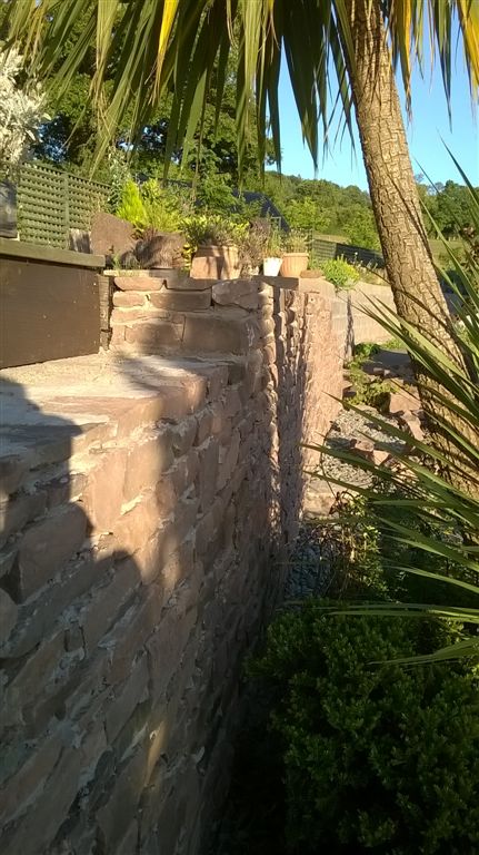 WP_20200719_19_57_31_Pro.jpg