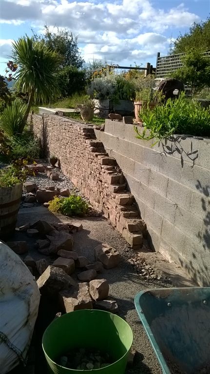 WP_20200720_18_24_02_Pro.jpg