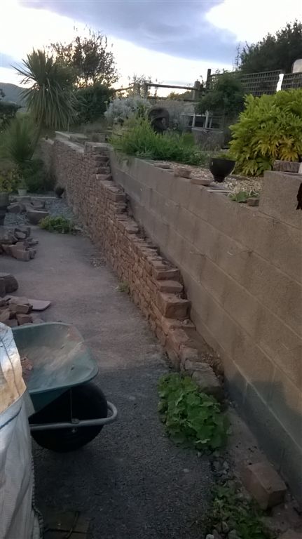 WP_20200722_21_13_08_Pro.jpg
