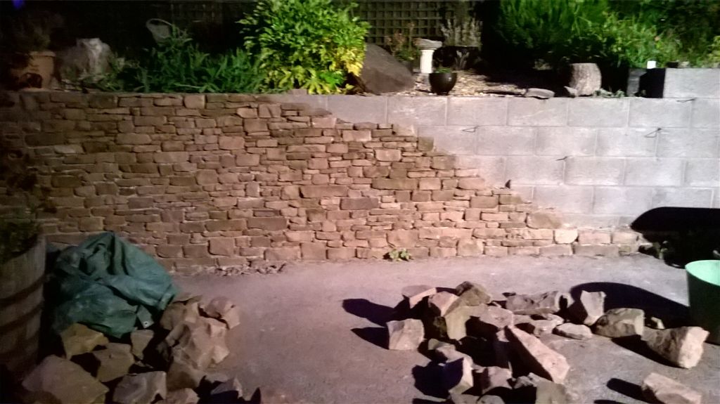 WP_20200723_21_48_51_Pro.jpg