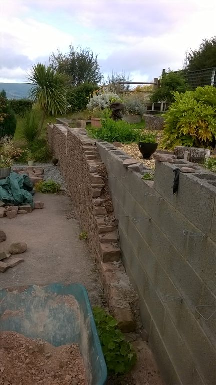 WP_20200724_07_53_43_Pro.jpg