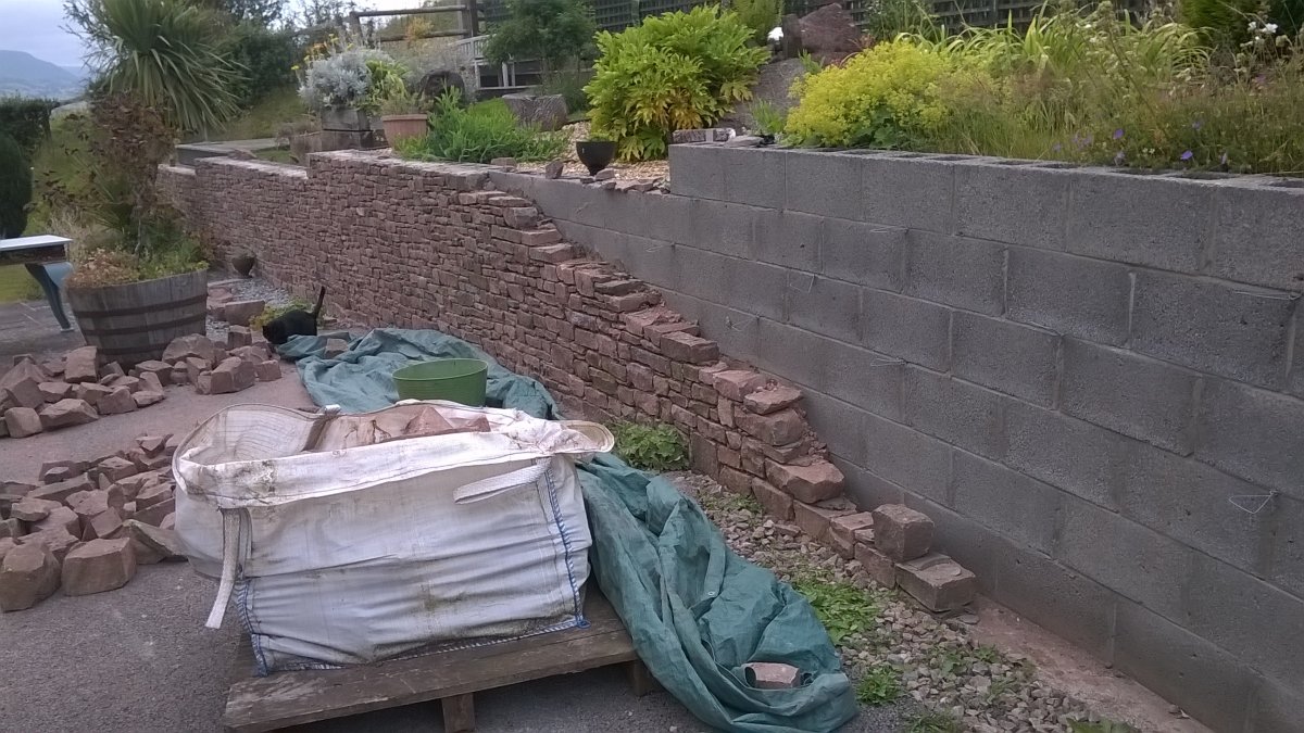 WP_20200724_18_49_01_Pro.jpg