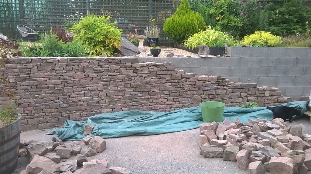 WP_20200724_18_49_19_Pro.jpg