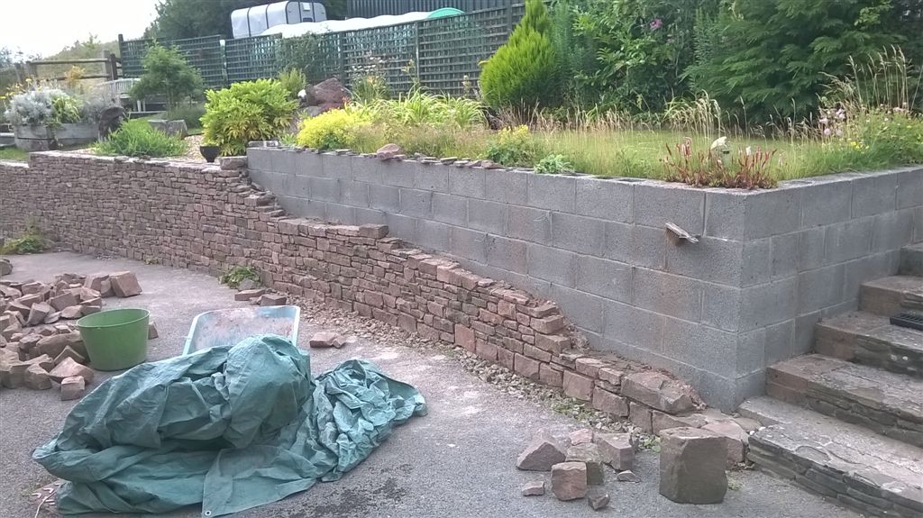 WP_20200726_18_18_51_Pro.jpg