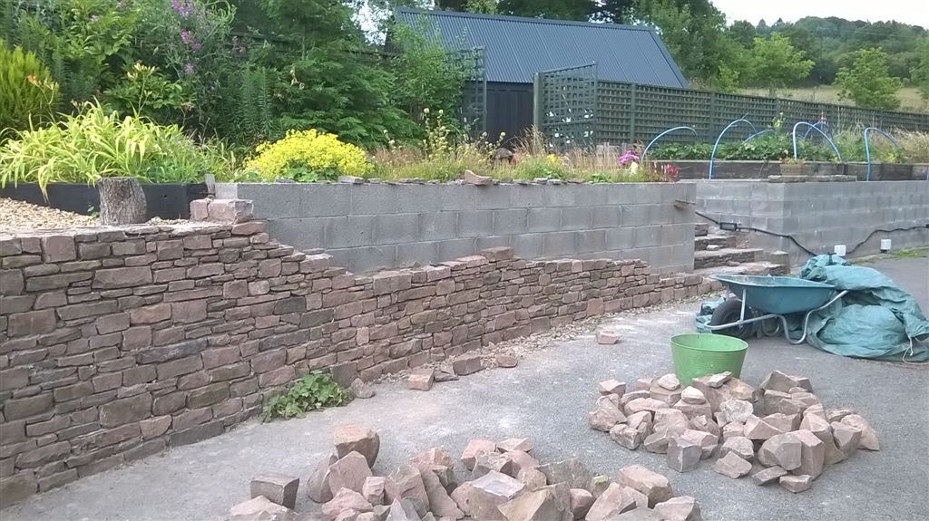 WP_20200726_18_19_05_Pro.jpg