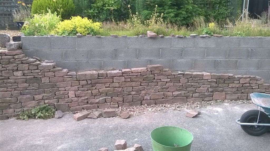 WP_20200726_18_19_17_Pro.jpg