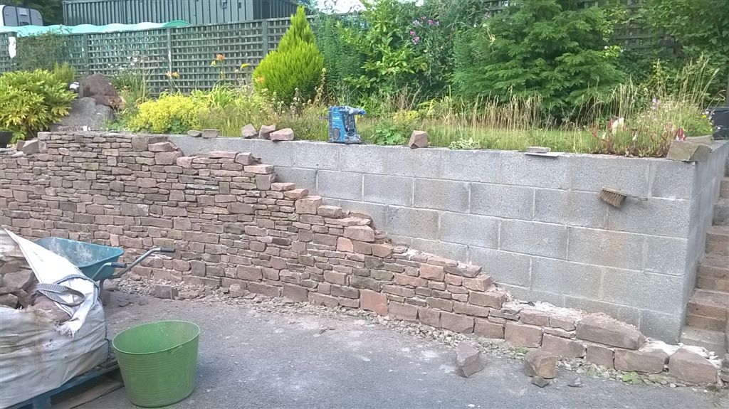 WP_20200728_16_48_22_Pro.jpg