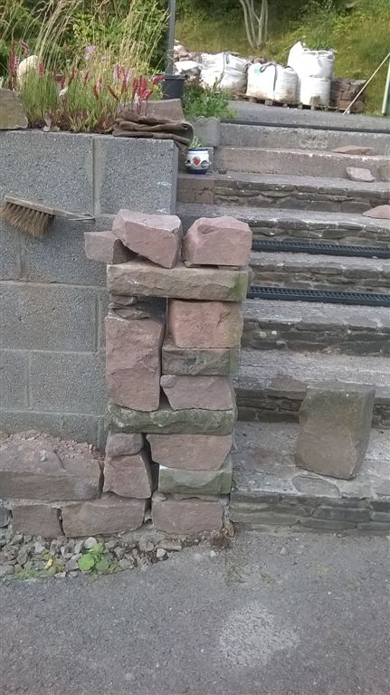 WP_20200728_18_23_18_Pro.jpg