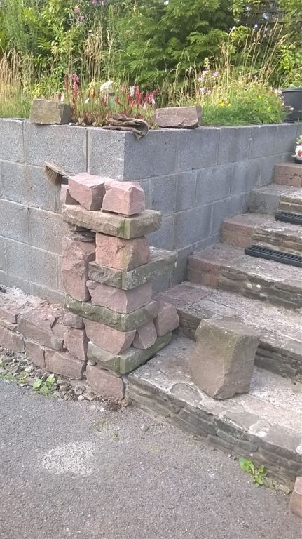 WP_20200728_18_23_24_Pro.jpg