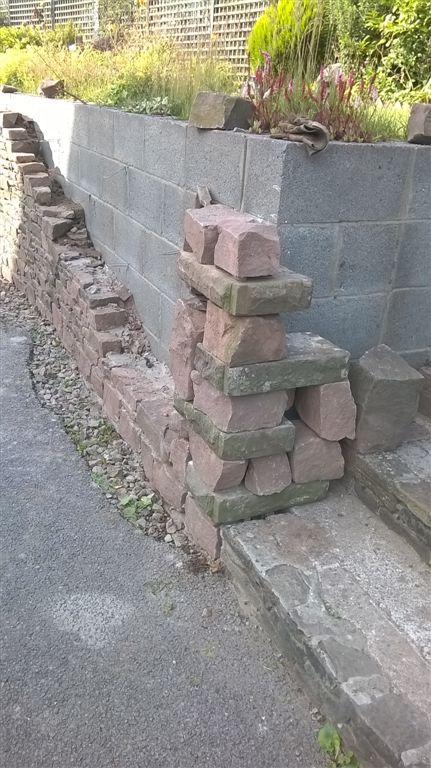 WP_20200728_18_27_04_Pro.jpg