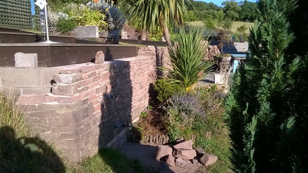 WP_20200803_18_47_00_Pro.jpg