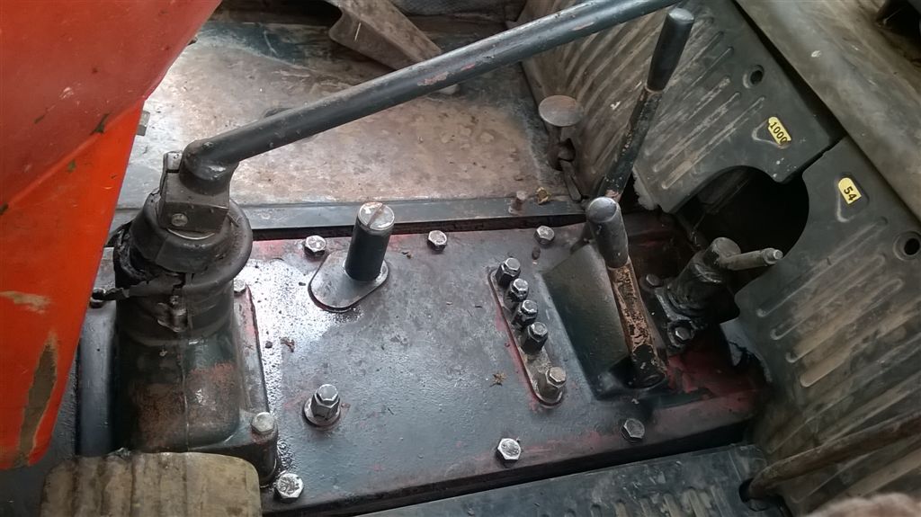 WP_20200811_10_38_01_Pro.jpg