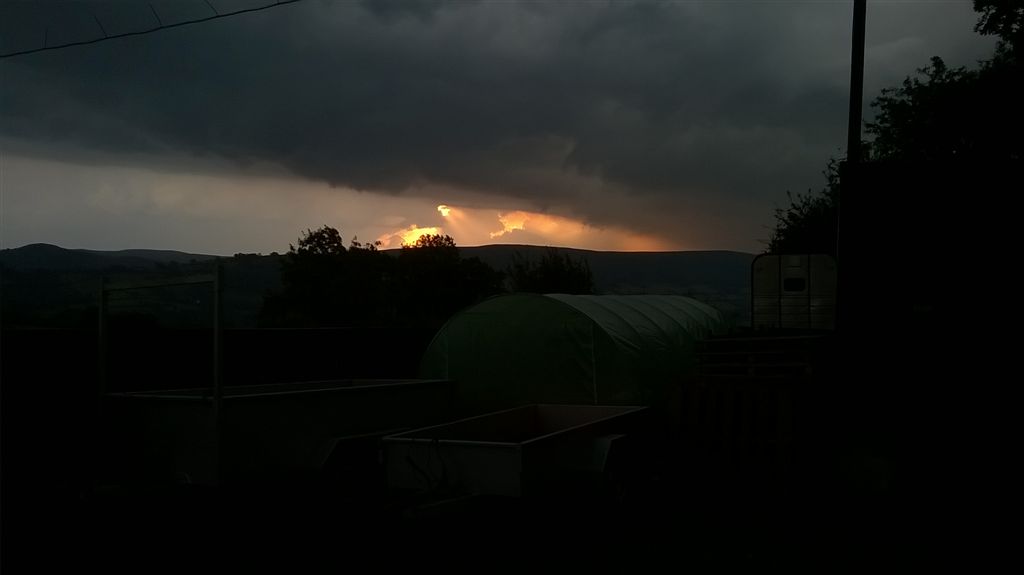 WP_20200812_19_48_05_Pro.jpg