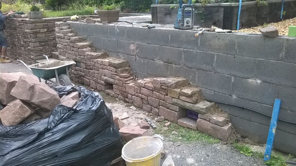 WP_20200820_16_34_53_Pro.jpg