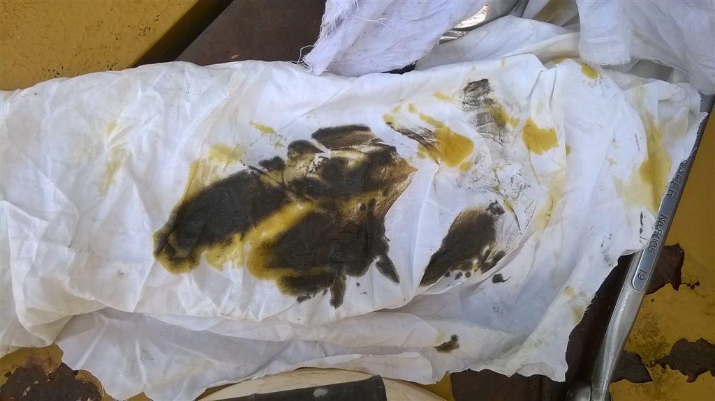 WP_20200824_14_56_20_Pro.jpg