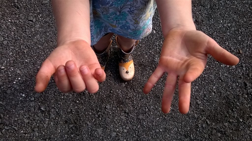 WP_20200824_15_19_20_Pro.jpg