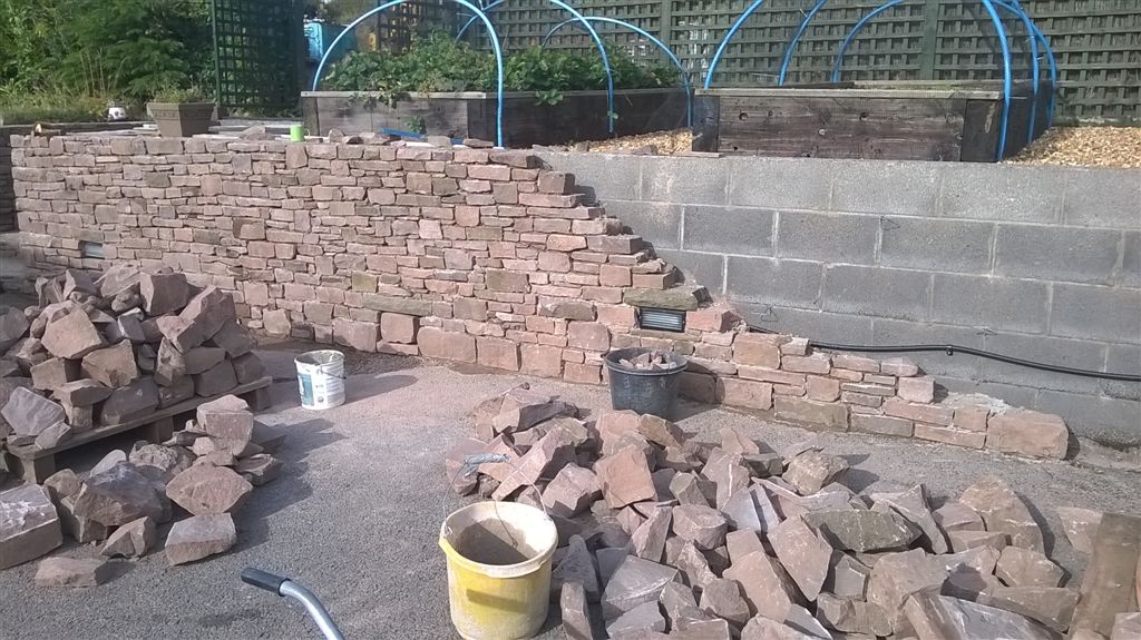 WP_20200824_17_17_20_Pro.jpg