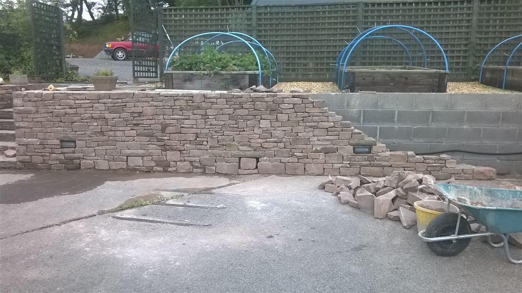 WP_20200824_19_01_23_Pro.jpg