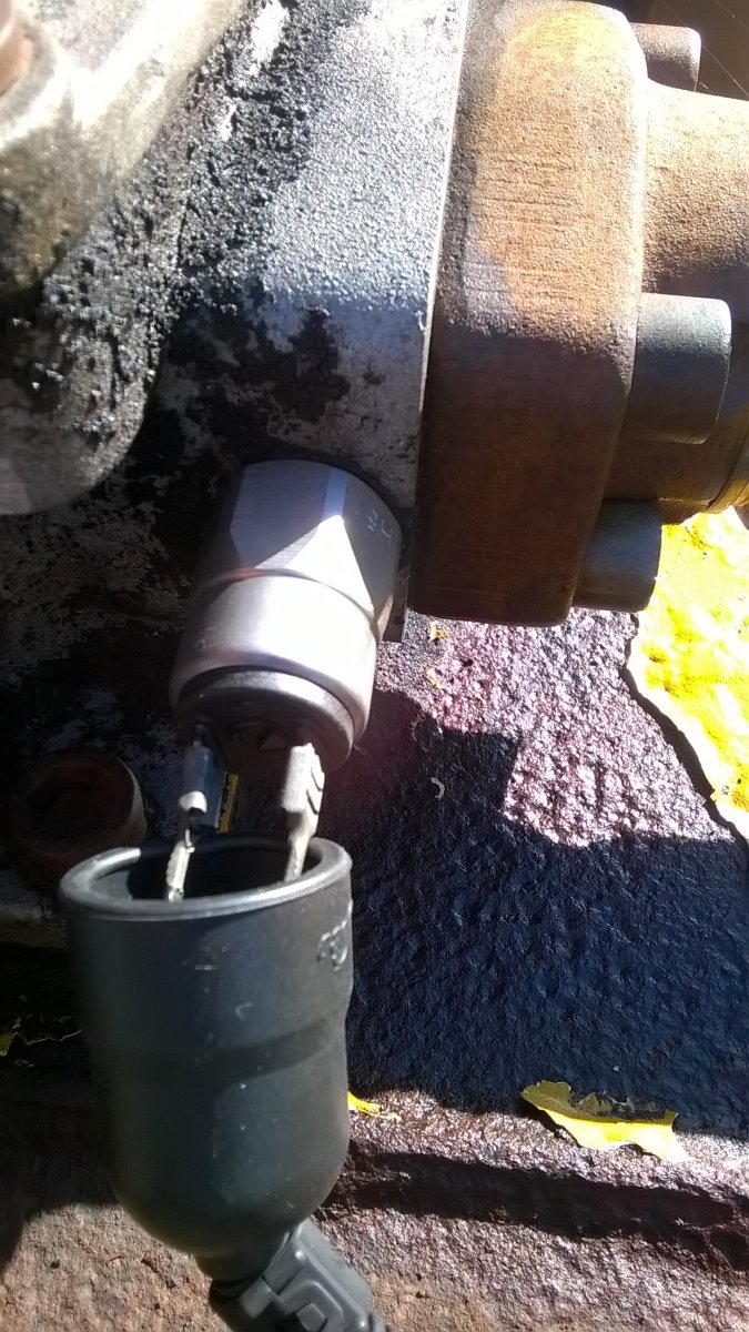 WP_20200829_16_30_42_Pro.jpg