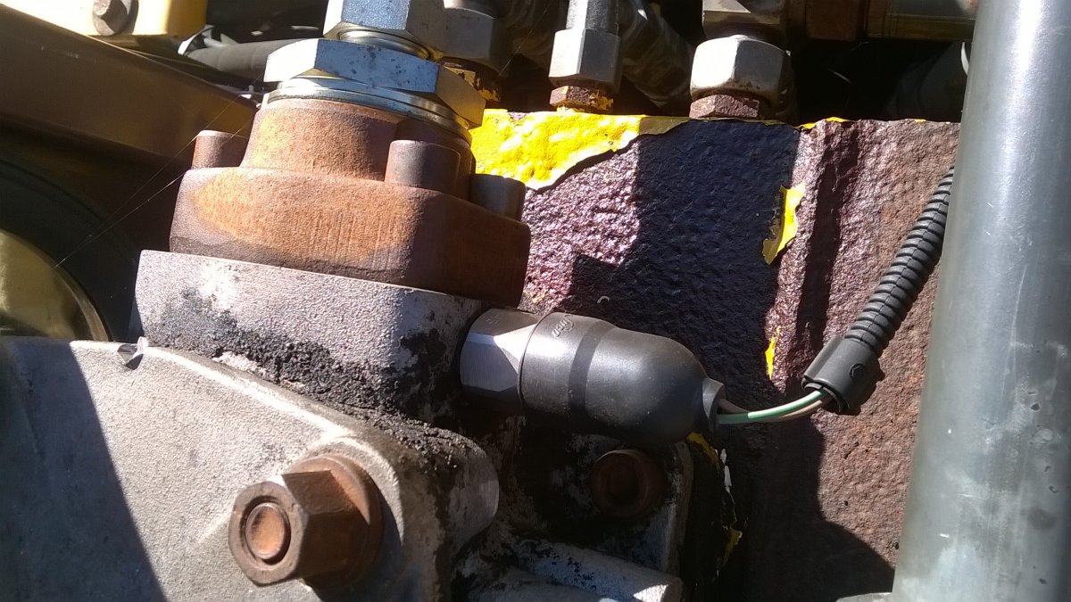 WP_20200829_16_31_06_Pro.jpg