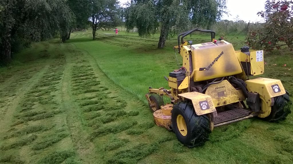 WP_20200831_15_00_29_Pro.jpg