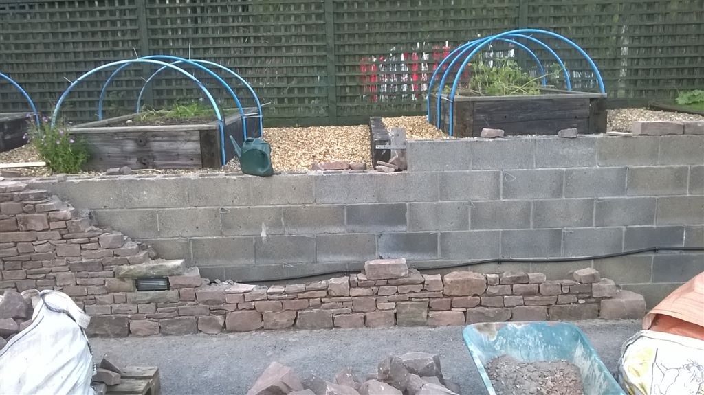 WP_20200901_19_30_33_Pro.jpg