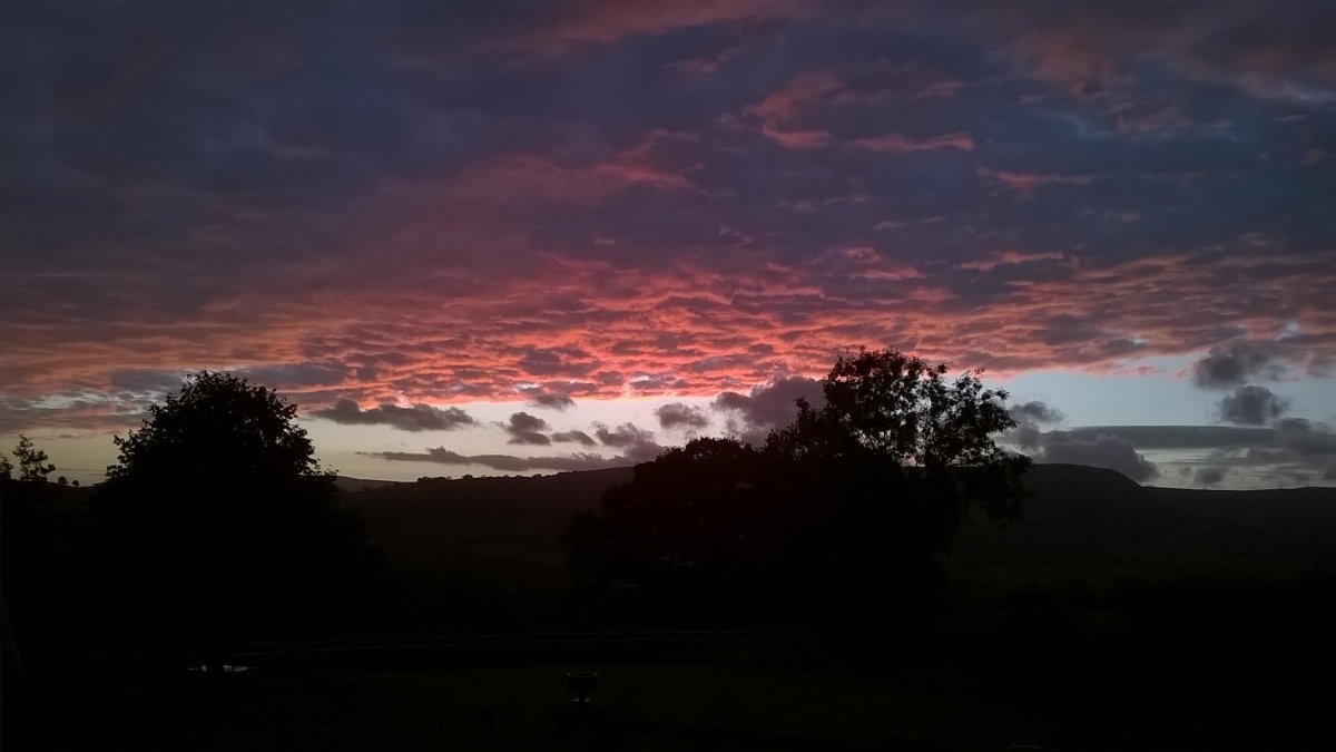 WP_20200904_20_00_05_Pro.jpg