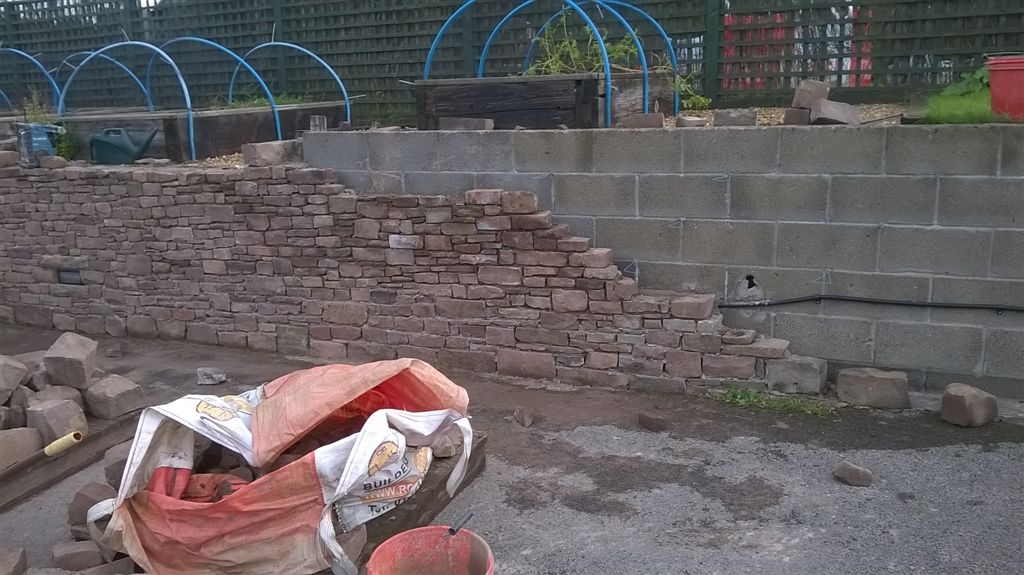 WP_20200907_08_05_18_Pro.jpg