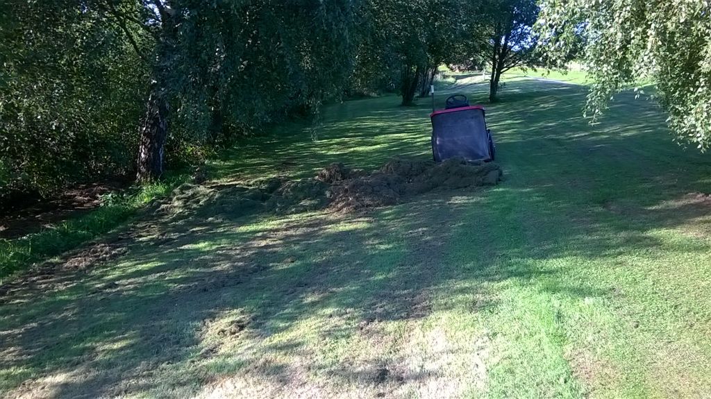 WP_20200909_18_05_57_Pro.jpg