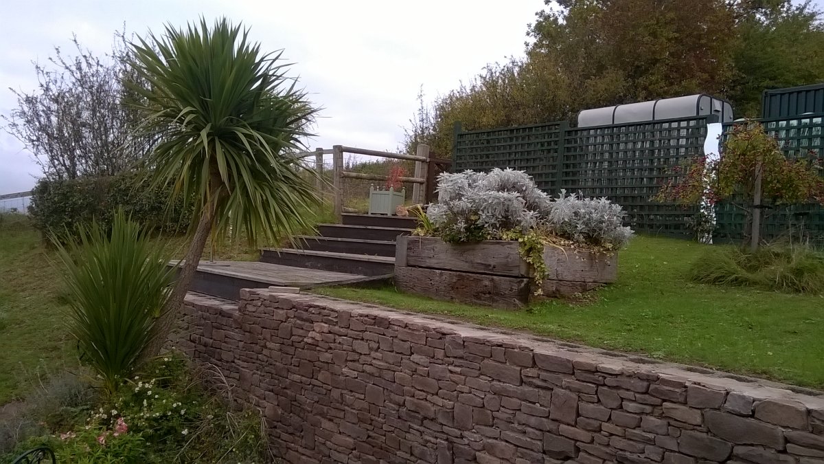 WP_20201017_09_56_22_Pro.jpg