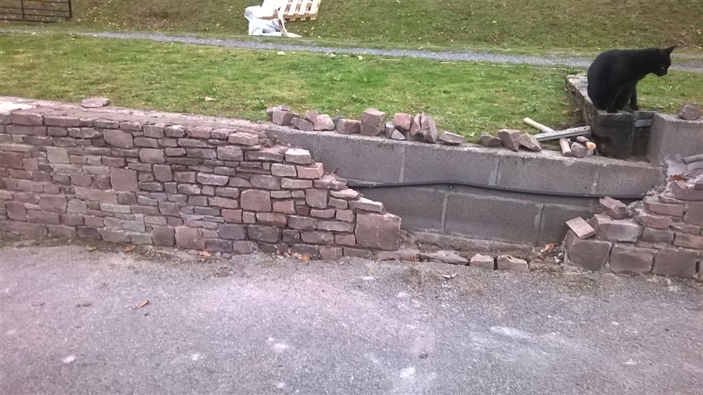 WP_20201019_17_25_21_Pro.jpg