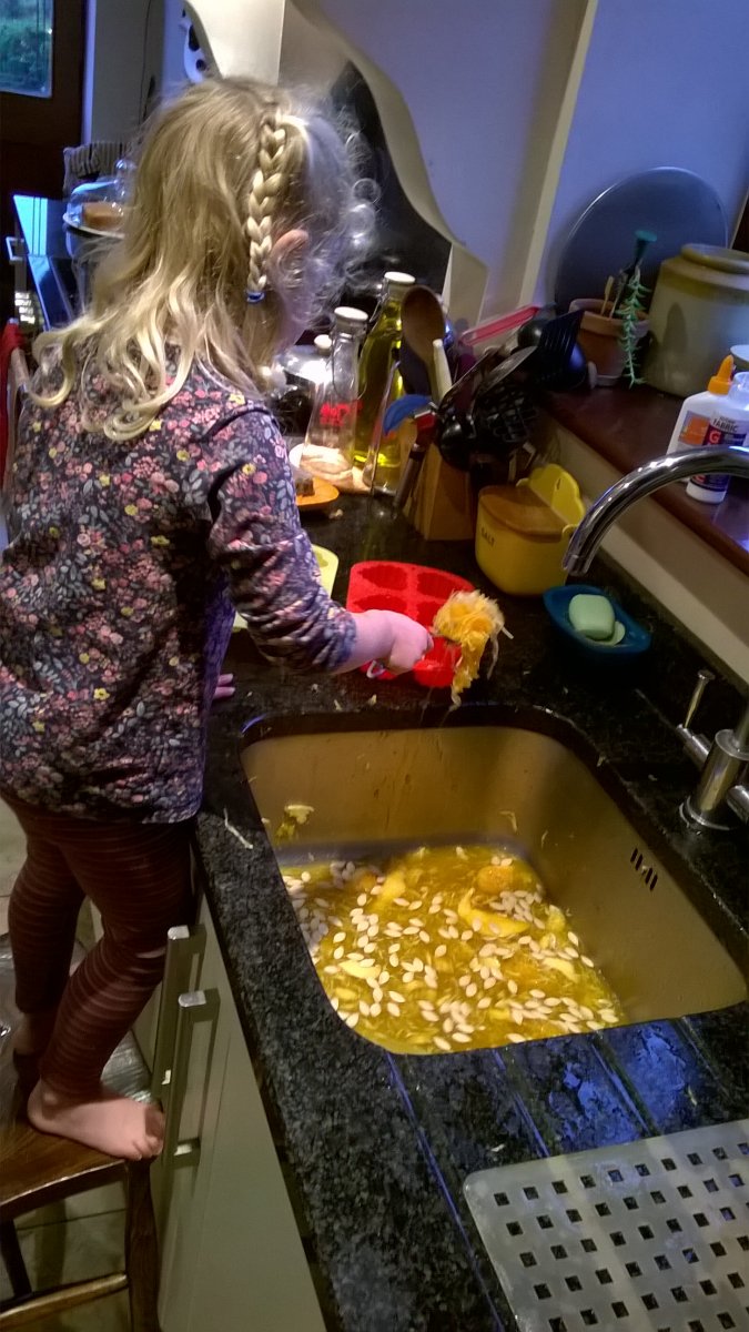 WP_20201030_15_52_56_Pro.jpg
