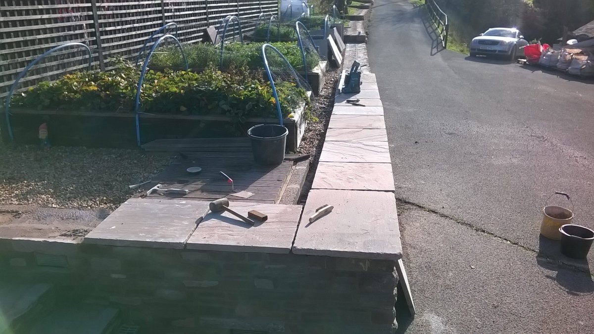 WP_20201105_11_25_21_Pro.jpg