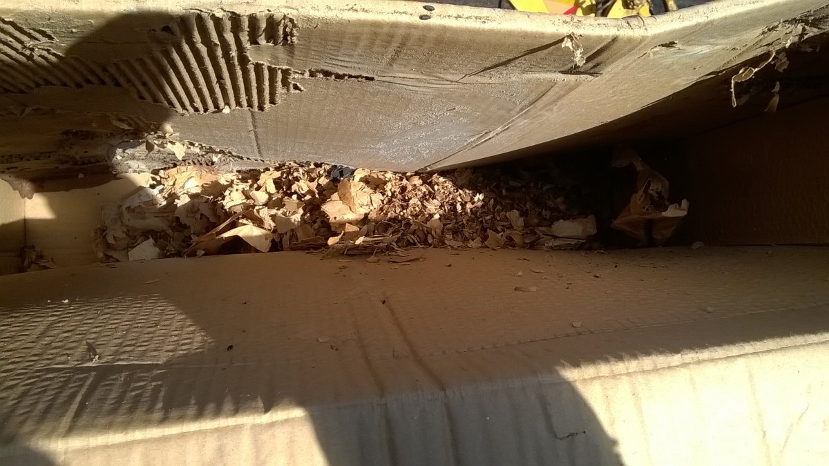 WP_20201125_12_39_53_Pro.jpg