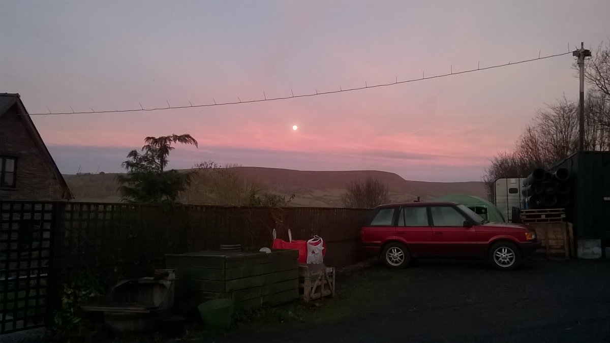 WP_20201201_07_45_54_Pro.jpg