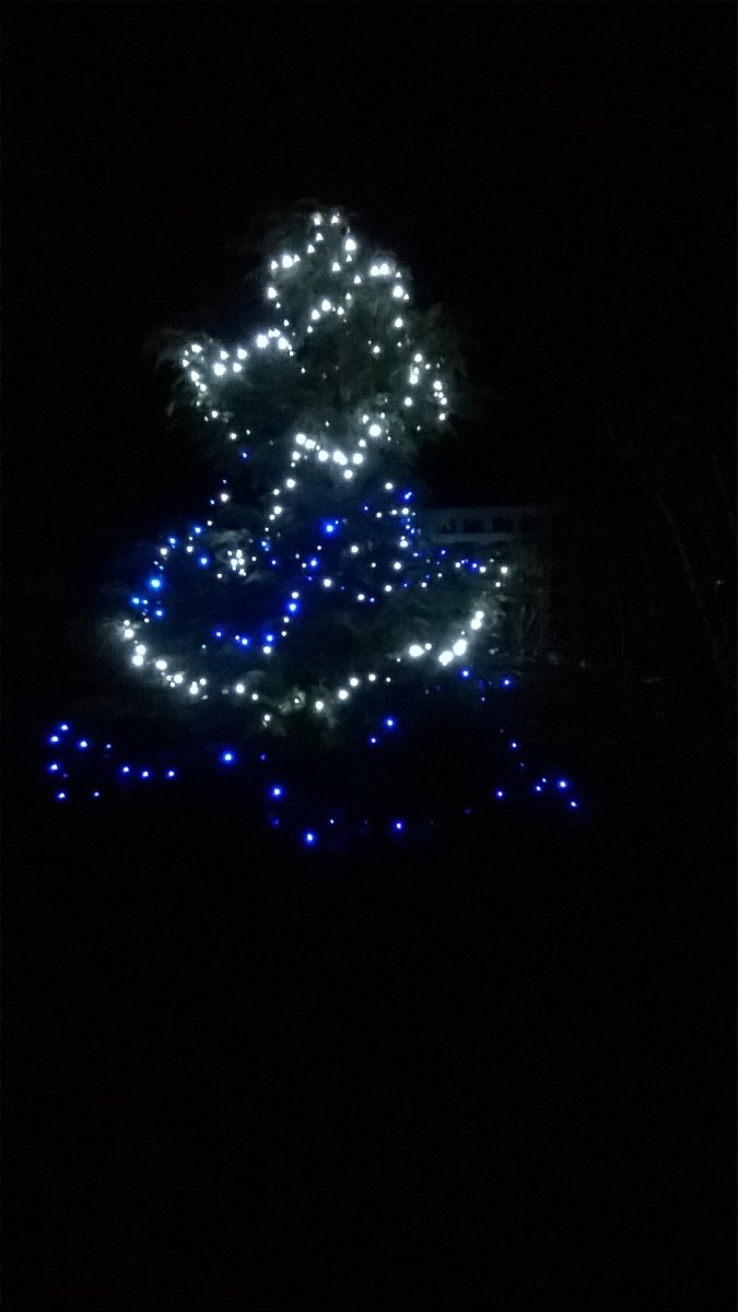 WP_20201202_19_09_11_Pro.jpg