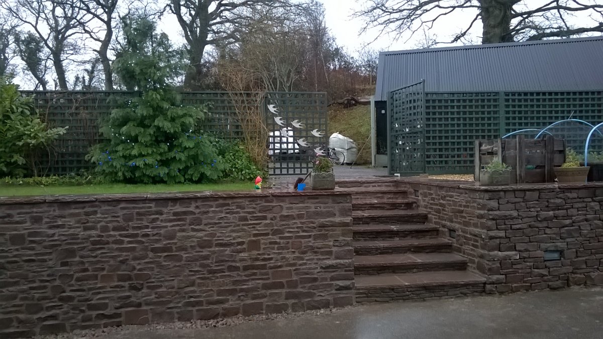 WP_20201203_10_49_55_Pro.jpg