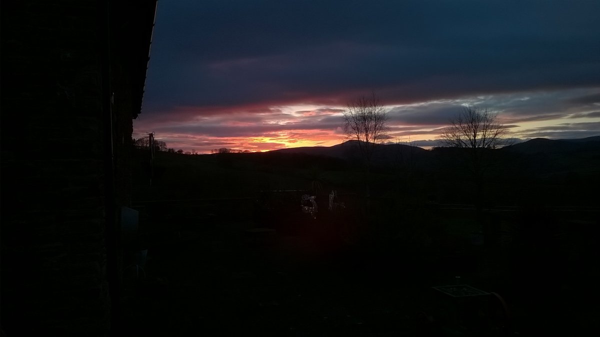 WP_20201206_16_03_30_Pro.jpg