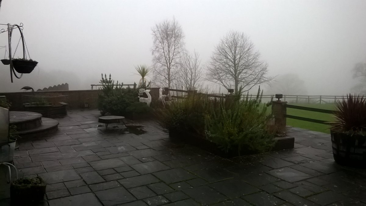 WP_20201223_10_11_09_Pro.jpg