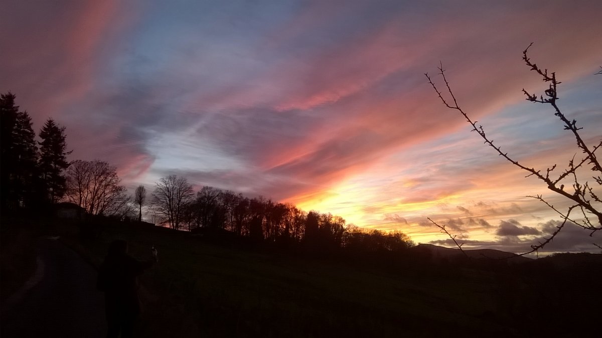 WP_20201225_16_18_09_Pro.jpg