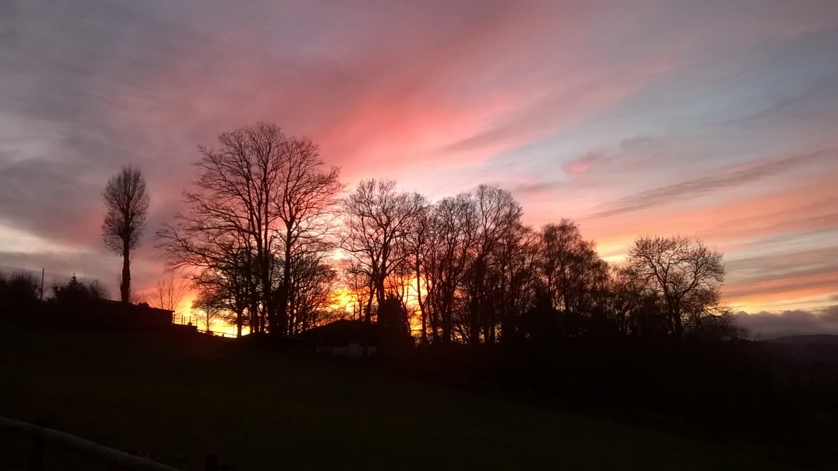 WP_20201225_16_23_07_Pro.jpg