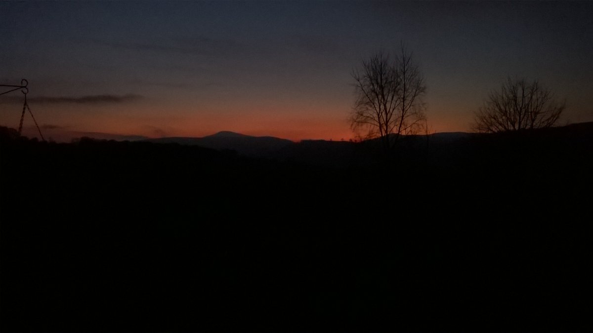 WP_20210109_17_06_17_Pro.jpg